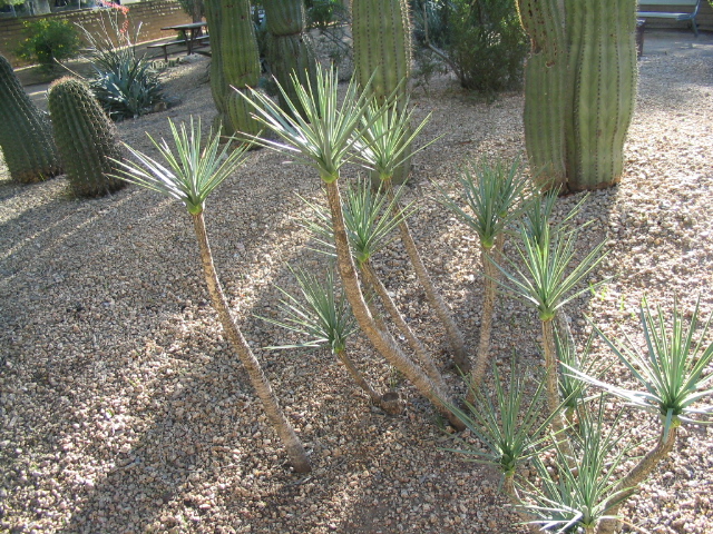 618x457 pixels (303K)